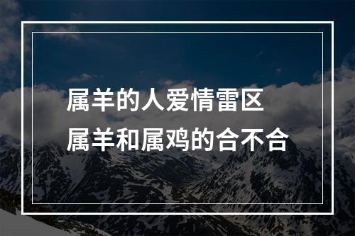 属羊的人爱情雷区 属羊和属鸡的合不合