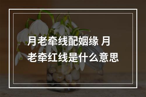 月老牵线配姻缘 月老牵红线是什么意思