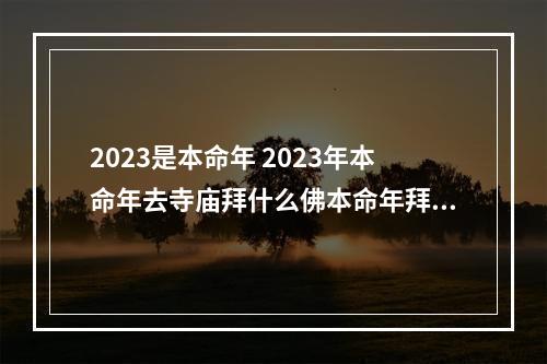 2023是本命年 2023年本命年去寺庙拜什么佛本命年拜佛时间