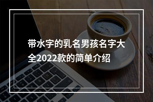 带水字的乳名男孩名字大全2022款的简单介绍