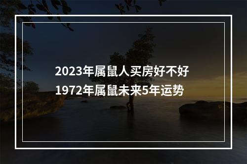 2023年属鼠人买房好不好 1972年属鼠未来5年运势