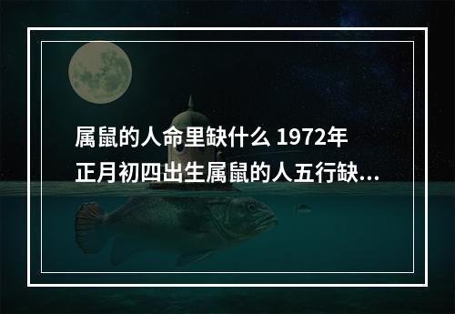 属鼠的人命里缺什么 1972年正月初四出生属鼠的人五行缺什么