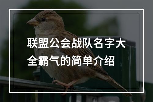 联盟公会战队名字大全霸气的简单介绍
