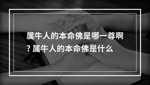 属牛人的本命佛是哪一尊啊? 属牛人的本命佛是什么