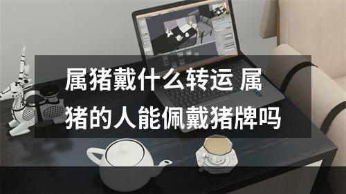 属猪戴什么转运 属猪的人能佩戴猪牌吗