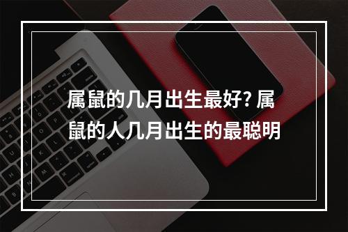 属鼠的几月出生最好? 属鼠的人几月出生的最聪明