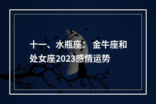 十一、水瓶座： 金牛座和处女座2023感情运势