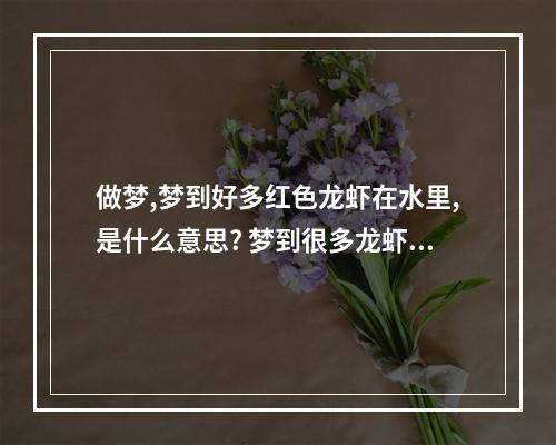 做梦,梦到好多红色龙虾在水里,是什么意思? 梦到很多龙虾是什么意思周公解梦
