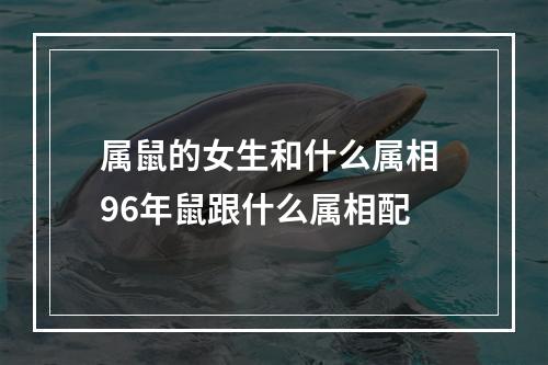 属鼠的女生和什么属相 96年鼠跟什么属相配