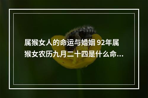 属猴女人的命运与婚姻 92年属猴女农历九月二十四是什么命运,已离婚?