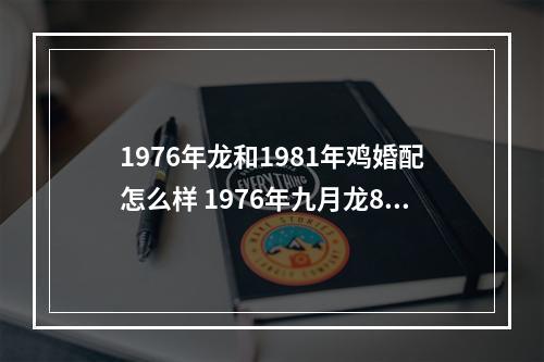 1976年龙和1981年鸡婚配怎么样 1976年九月龙8与1981年十月鸡婚配如何