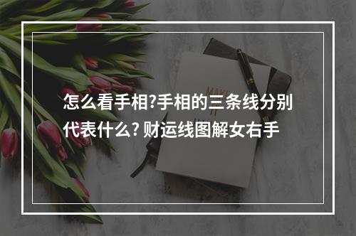 怎么看手相?手相的三条线分别代表什么? 财运线图解女右手