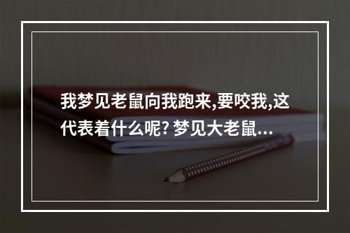 我梦见老鼠向我跑来,要咬我,这代表着什么呢? 梦见大老鼠向自己跑来