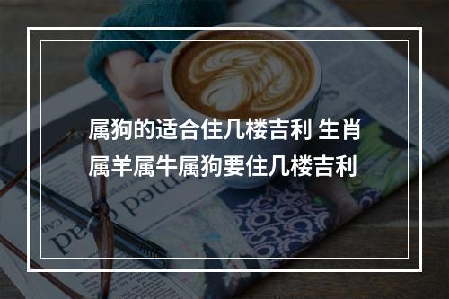属狗的适合住几楼吉利 生肖属羊属牛属狗要住几楼吉利