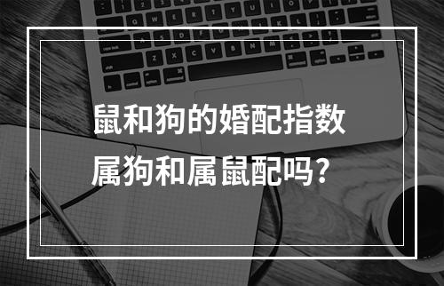 鼠和狗的婚配指数 属狗和属鼠配吗?