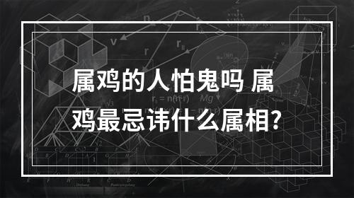 属鸡的人怕鬼吗 属鸡最忌讳什么属相?