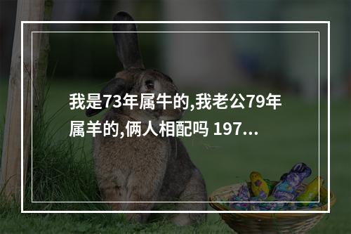 我是73年属牛的,我老公79年属羊的,俩人相配吗 1979属羊女和1973属牛男婚配
