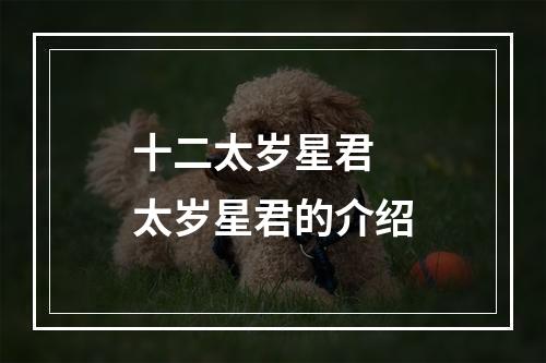 十二太岁星君 太岁星君的介绍