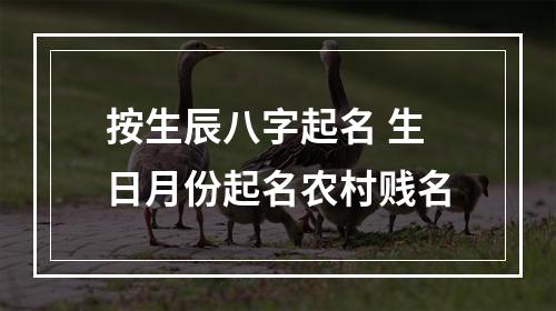 按生辰八字起名 生日月份起名农村贱名