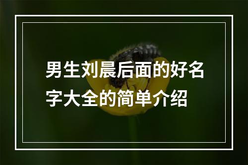 男生刘晨后面的好名字大全的简单介绍