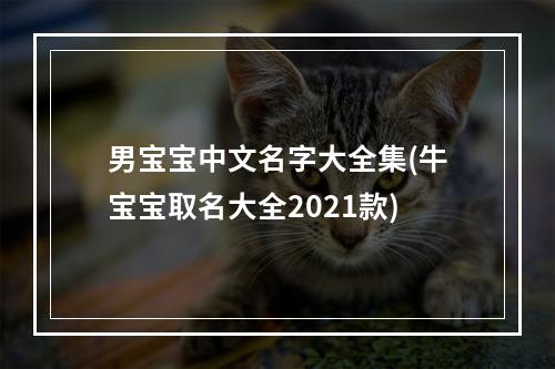男宝宝中文名字大全集(牛宝宝取名大全2021款)