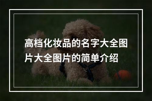 高档化妆品的名字大全图片大全图片的简单介绍