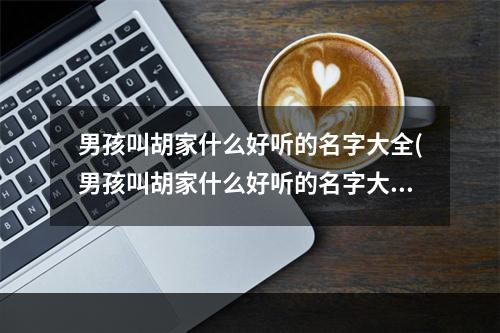 男孩叫胡家什么好听的名字大全(男孩叫胡家什么好听的名字大全两个字)