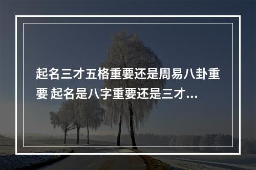 起名三才五格重要还是周易八卦重要 起名是八字重要还是三才五格重要
