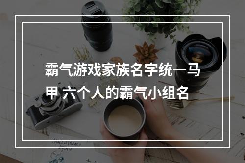 霸气游戏家族名字统一马甲 六个人的霸气小组名
