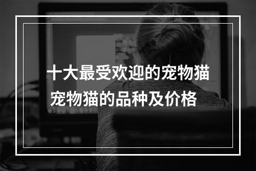十大最受欢迎的宠物猫 宠物猫的品种及价格