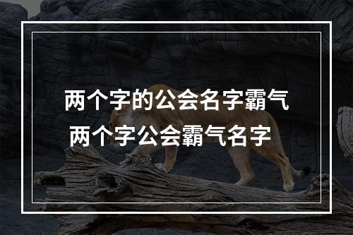 两个字的公会名字霸气 两个字公会霸气名字