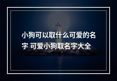 小狗可以取什么可爱的名字 可爱小狗取名字大全