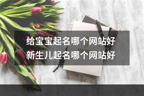给宝宝起名哪个网站好 新生儿起名哪个网站好