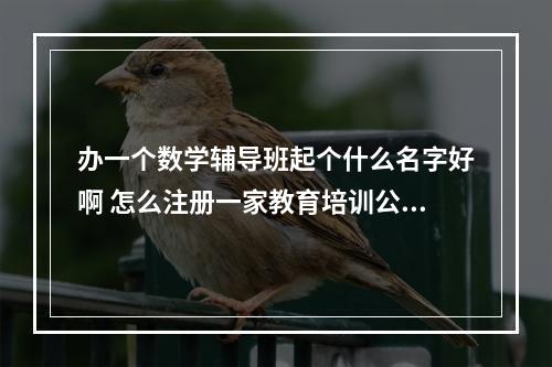 办一个数学辅导班起个什么名字好啊 怎么注册一家教育培训公司?
