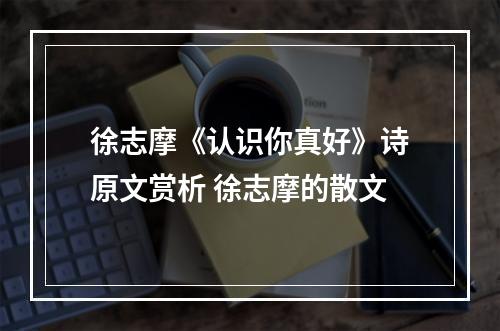 徐志摩《认识你真好》诗原文赏析 徐志摩的散文