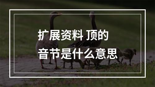 扩展资料 顶的音节是什么意思