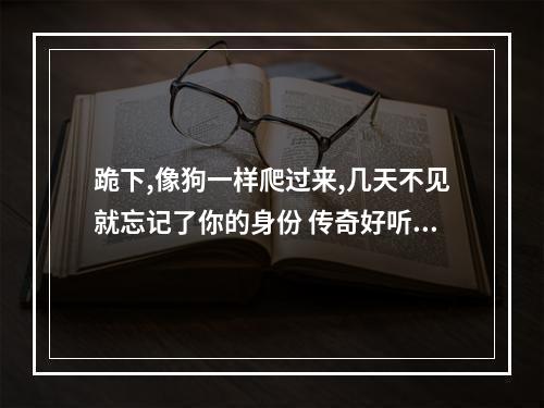跪下,像狗一样爬过来,几天不见就忘记了你的身份 传奇好听的行会封号