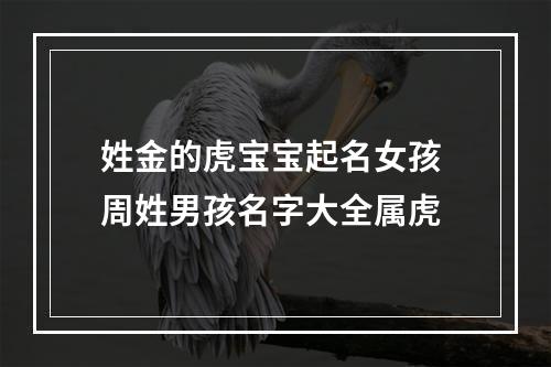 姓金的虎宝宝起名女孩 周姓男孩名字大全属虎