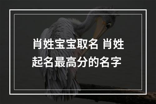 肖姓宝宝取名 肖姓起名最高分的名字