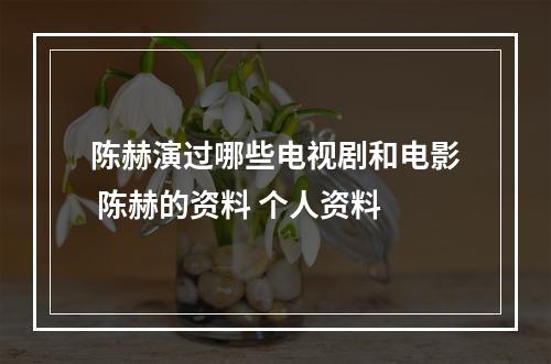 陈赫演过哪些电视剧和电影 陈赫的资料 个人资料