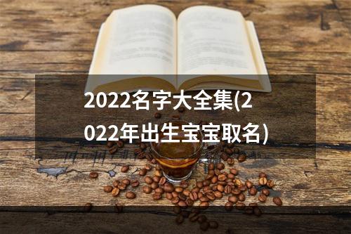 2022名字大全集(2022年出生宝宝取名)