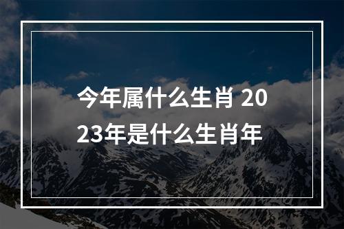 今年属什么生肖 2023年是什么生肖年