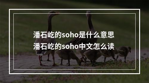 潘石屹的soho是什么意思 潘石屹的soho中文怎么读