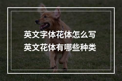 英文字体花体怎么写 英文花体有哪些种类