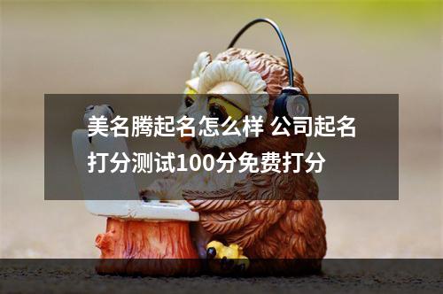 美名腾起名怎么样 公司起名打分测试100分免费打分