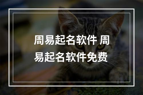 周易起名软件 周易起名软件免费