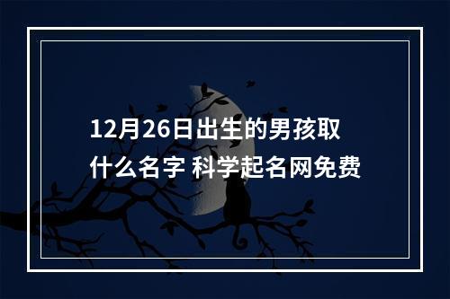 12月26日出生的男孩取什么名字 科学起名网免费
