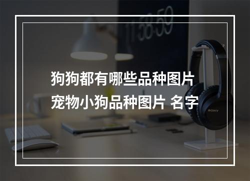 狗狗都有哪些品种图片 宠物小狗品种图片 名字