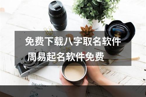 免费下载八字取名软件 周易起名软件免费