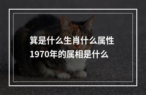 箕是什么生肖什么属性 1970年的属相是什么